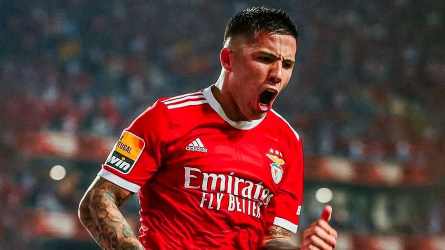 Milan, Enzo Fernandez è tuo! Poi il club ha scelto…Adli Milan, Enzo Fernandez era un obiettivo di mercato
