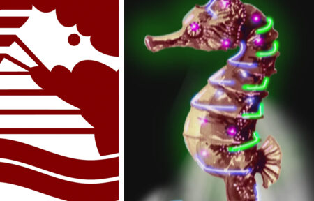 L'ippocampo della Salernitana logo