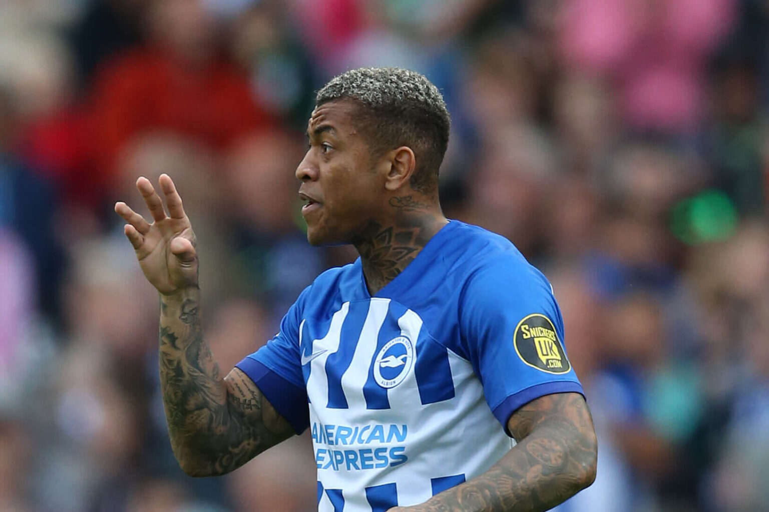 calciomercato milan igor premier league